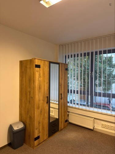 Very cosy single bedroom in the Vinohrady district