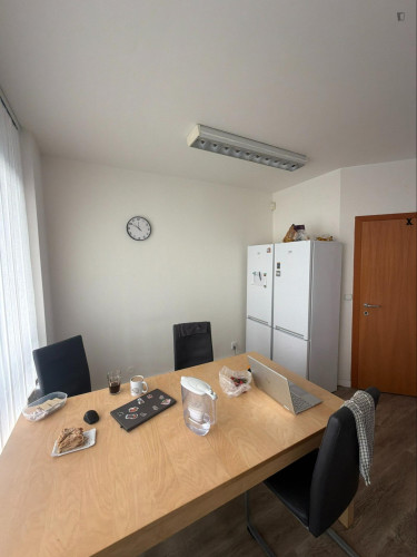 Very cosy single bedroom in the Vinohrady district - Gallery - 8