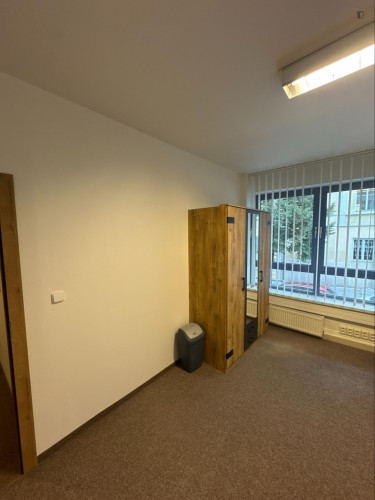 Very cosy single bedroom in the Vinohrady district