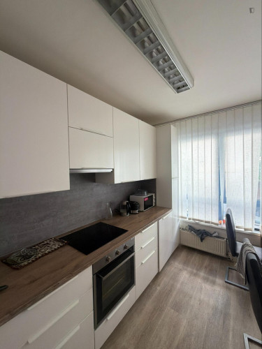 Very cosy single bedroom in the Vinohrady district - Gallery - 6