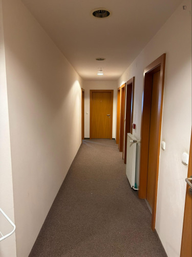 Very cosy single bedroom in the Vinohrady district - Gallery - 12