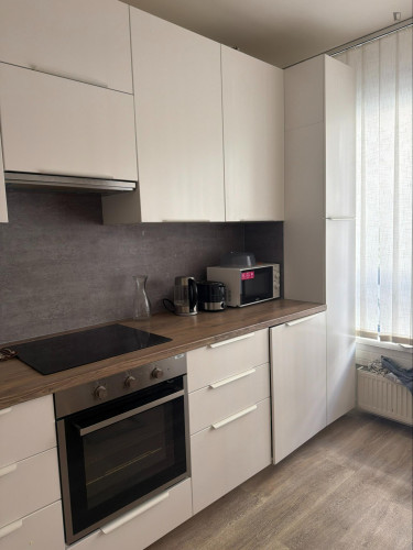 Very cosy single bedroom in the Vinohrady district - Gallery - 7
