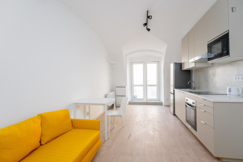 Comfortable 1-bedroom apartment in Podvinní