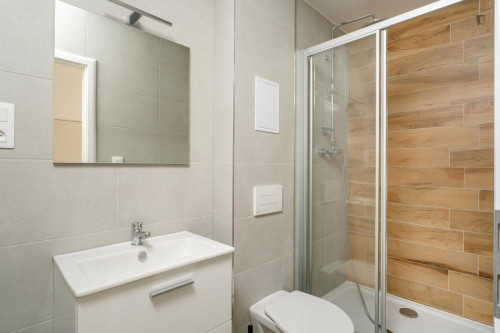 Comfortable 1-bedroom apartment in Podvinní  - Gallery -  5