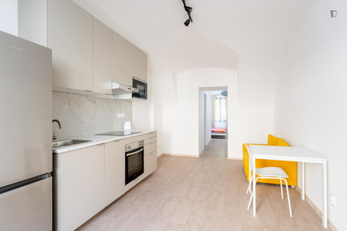 Comfortable 1-bedroom apartment in Podvinní
