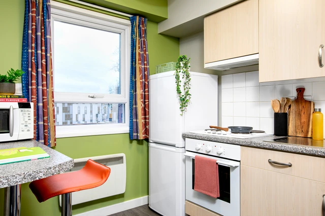  Double Wheelchair Accessible Studio  -  راجلان هاوس  - Gallery -  4