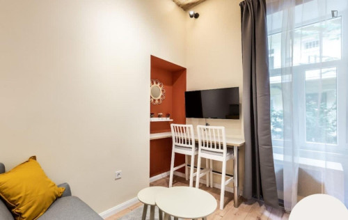 Charming Studio in District VII.