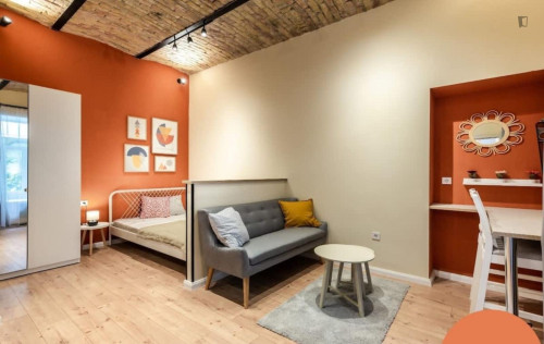 Charming Studio in District VII.