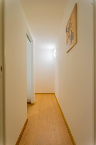 Lovely 2 bedroom apartment near Opera metro