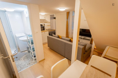 Lovely 2 bedroom apartment near Opera metro