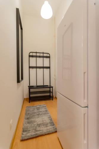 Lovely 2 bedroom apartment near Opera metro