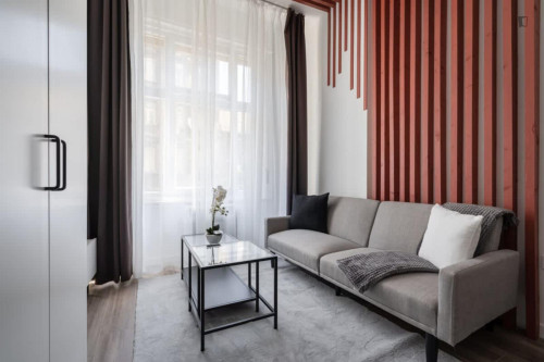 Inviting 1- double bedroom apartment near Józsefváros neighbourhood