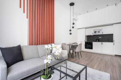 Inviting 1- double bedroom apartment near Józsefváros neighbourhood