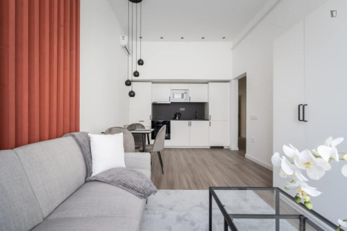 Inviting 1- double bedroom apartment near Józsefváros neighbourhood  - Gallery -  5