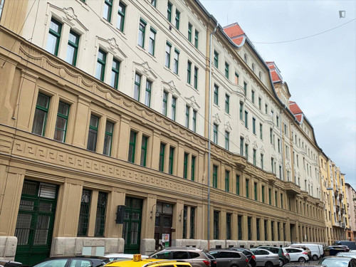 Lovely single bedroom near Boráros tér station