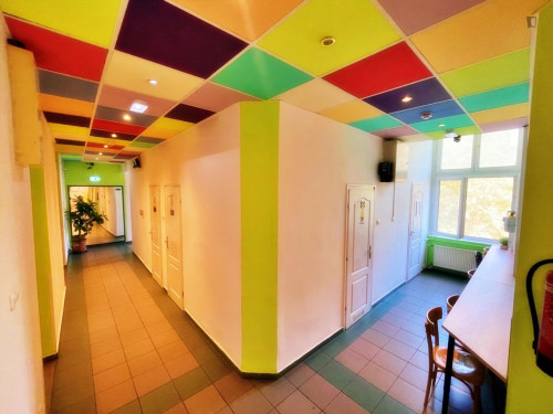 Neat single bedroom near Boráros tér station  - Gallery -  5