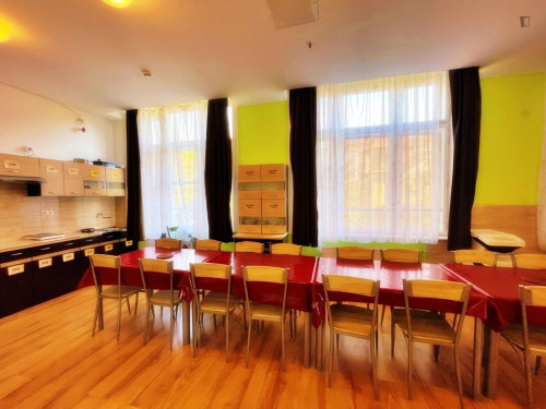 Neat ensuite twin bedroom near Boráros tér station