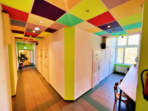 Neat ensuite twin bedroom near Boráros tér station