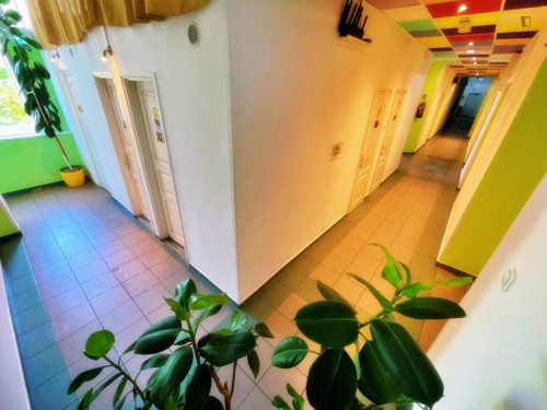 Pleasant 4-bed dorm near Boráros tér station