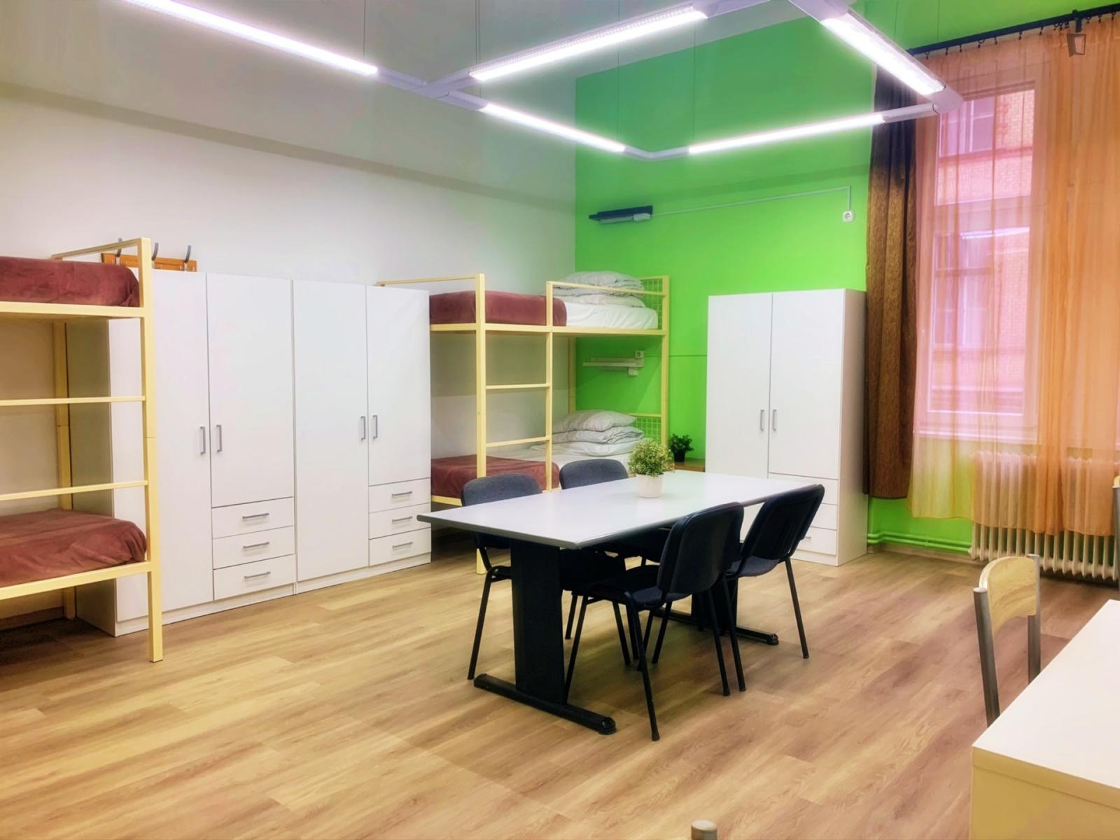 Pleasant 4-Bed Dorm Near Boráros Tér Station - Pleasant 4-bed dorm near Boráros tér station - Gallery - 1