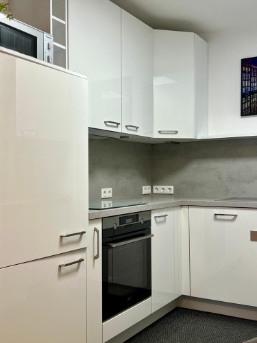 Beautiful 2-room apartment in Tettnang  - Gallery -  5