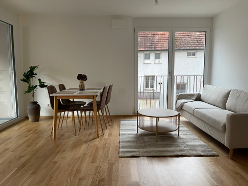 Newly built 3.5 apartment in singen center - Gallery - 11