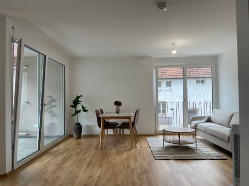 Newly built 3.5 apartment in singen center - Gallery - 19