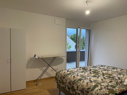 Newly built 3.5 apartment in singen center