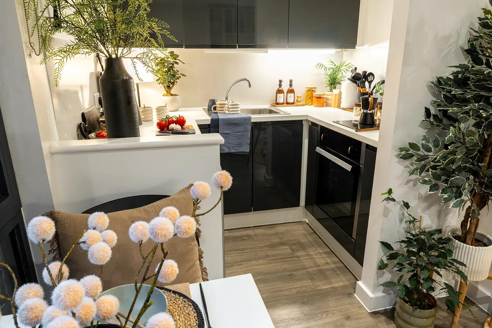 Luxe Plus Studio - Palamon Court - Gallery - 3