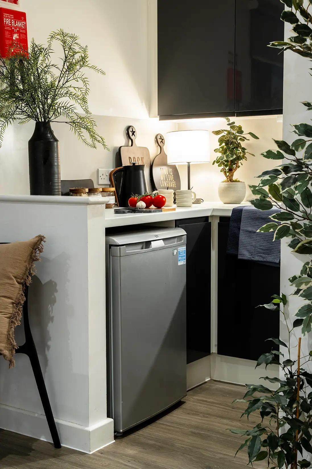 Luxe Plus Studio - Palamon Court - Gallery - 6