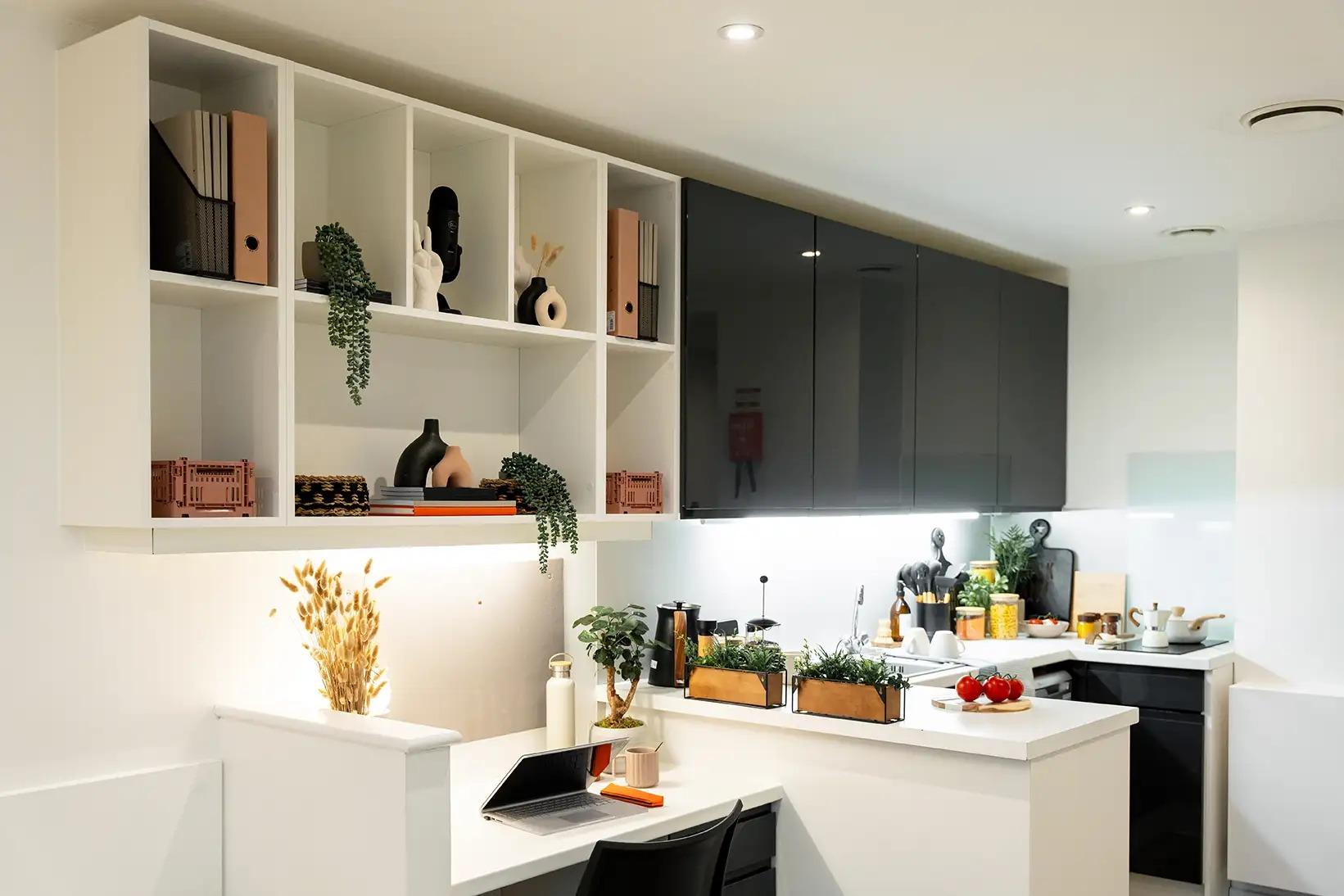Elite Studio - Palamon Court - Gallery - 4