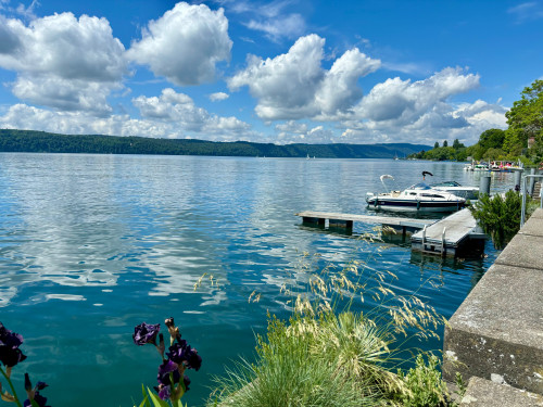 Furnished design loft apartment with lake view in Überlingen - Gallery - 11