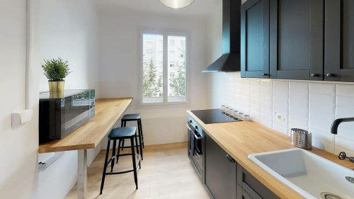 Cours Richard Vitton, Lyon  - Gallery -  5