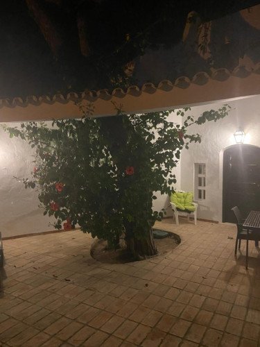 Charming house in Vilamoura - Gallery - 9