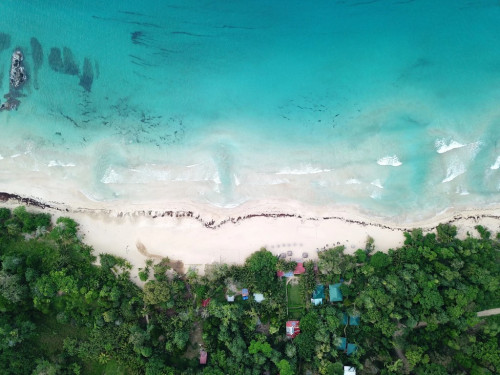 Selina Bocas del Toro, Red Frog - Gallery - 5