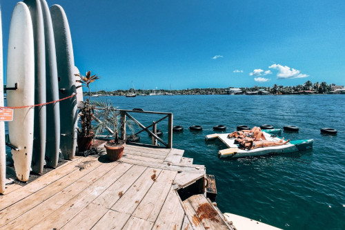 Selina Bocas del Toro, Red Frog - Gallery - 6