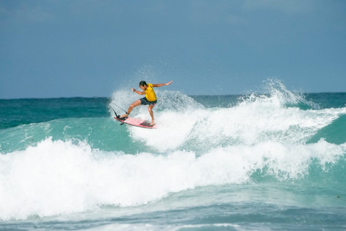 Selina Bocas del Toro, Red Frog - Gallery - 8