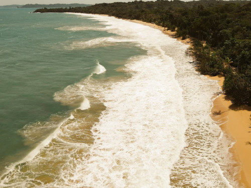 Selina Bocas del Toro, Red Frog - Gallery - 4