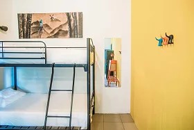 Selina Bocas del Toro, Red Frog - Gallery - 23