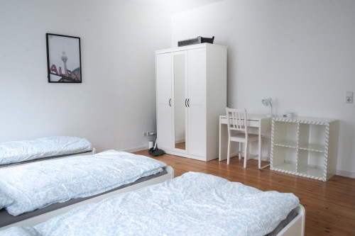 Allee Comfort 2 - Gallery - 5