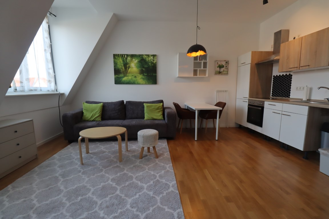 Shared Apartment - 5