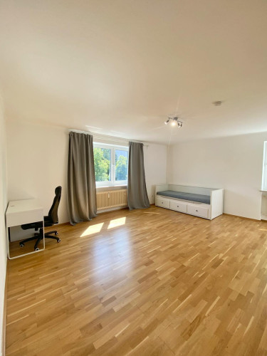 Pfitznerstraße, Munich