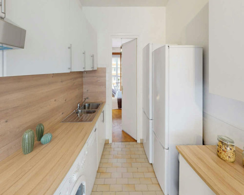 Rue Garibaldi, Lyon  - Gallery -  5