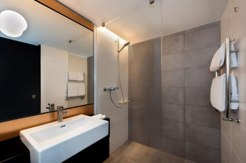 Bright 1-bedroom flat in the Zentrum district