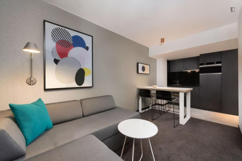Bright 1-bedroom flat in the Zentrum district