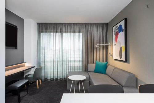 Bright 1-bedroom flat in the Zentrum district