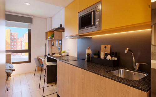 Comfy studio in well-linked L'Hospitalet de Llobregat