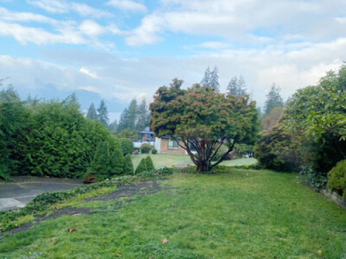 Cleaning Big Bedrooms in Port Moody