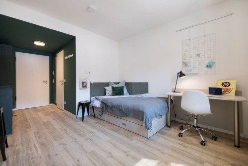 Fully furnished apartments for students - Gallery - 10