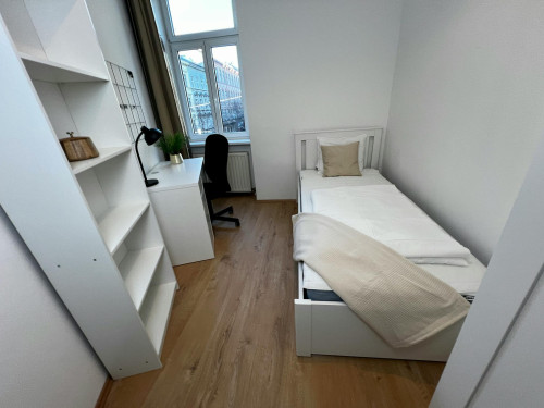 Reinprechtsdorfer Straße, Vienna